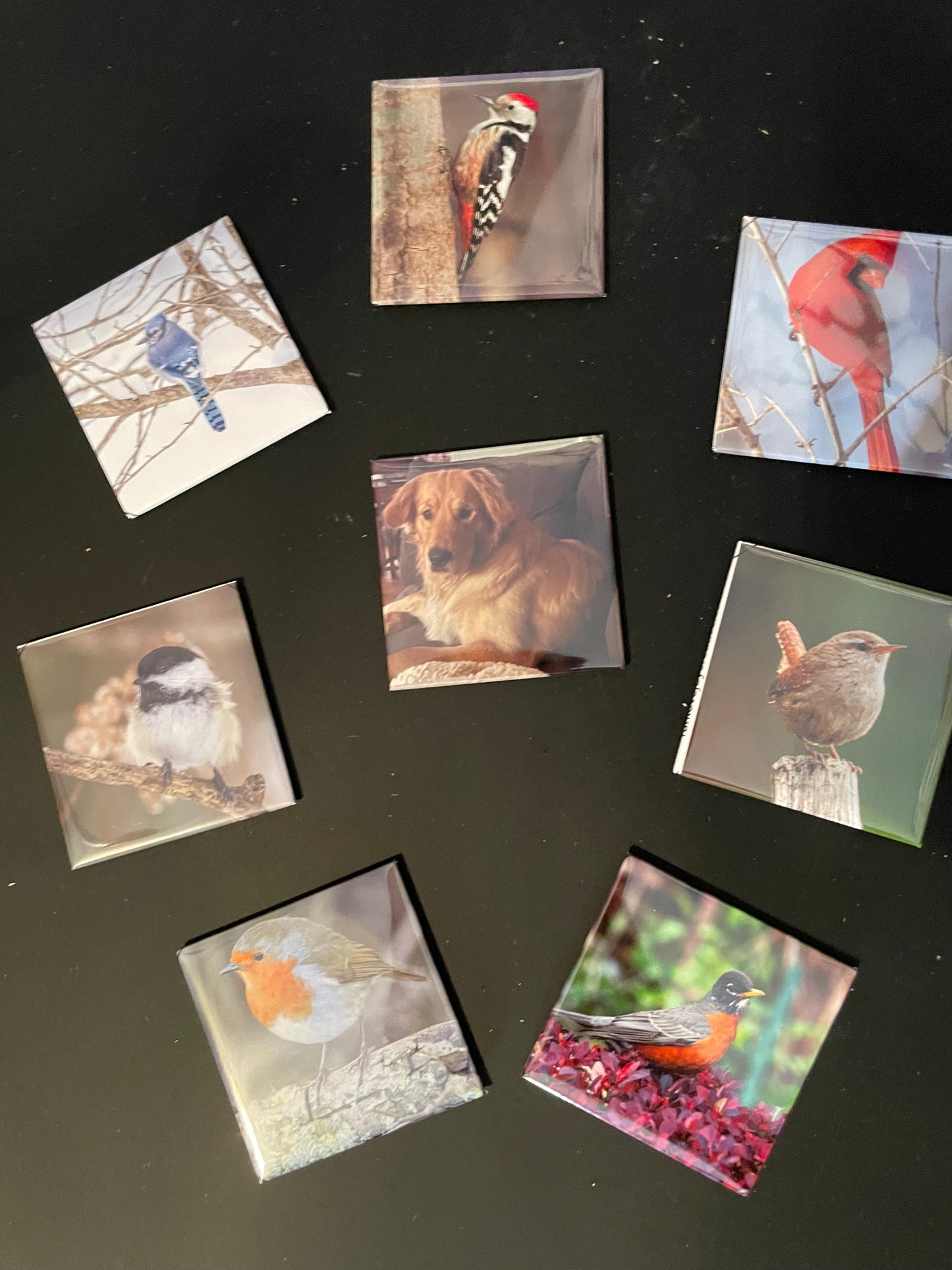 2x2 Custom Photo Magnets (Set of 9)